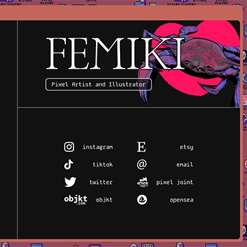 détail de l'interface du site web de Femiki
